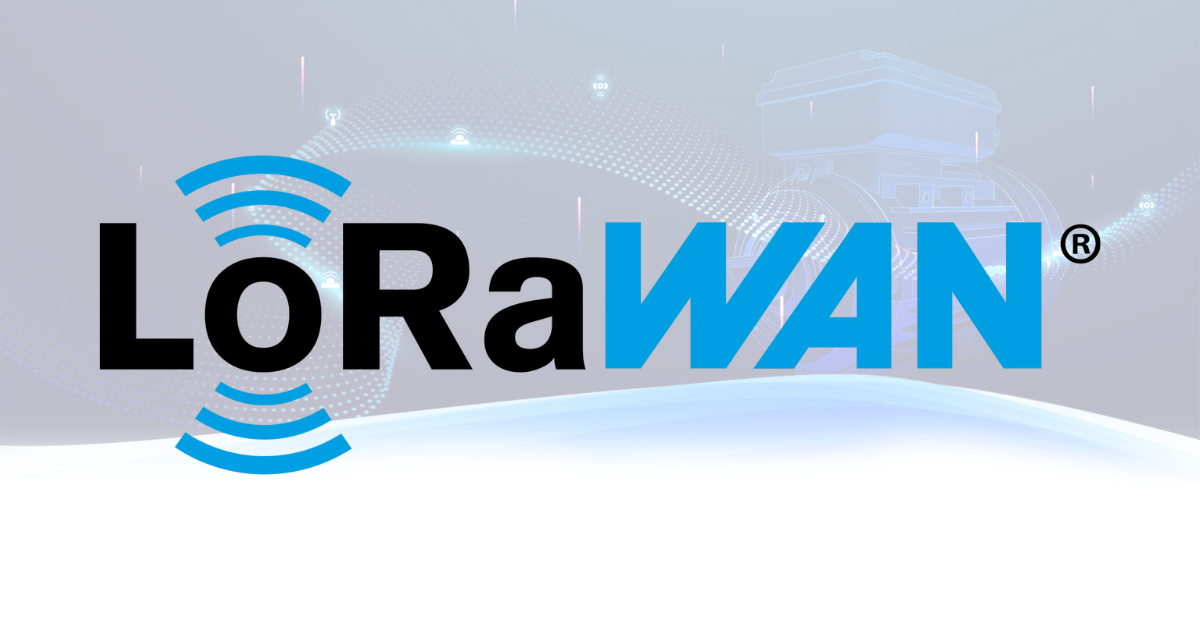 Illustration of page What is LoRaWan, Public vs Private differences